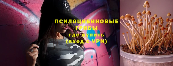 прущий лед Армянск