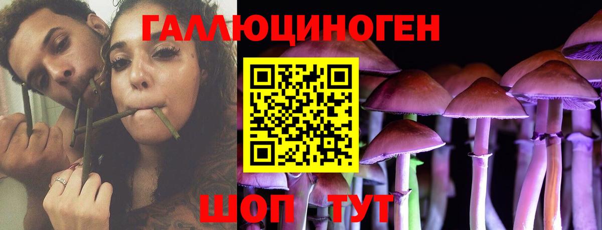 Галлюциногенные грибы мухоморы  где купить наркотик  Вход с VPN  Кирово-Чепецк  Псилоцибиновые грибы Psilocybe 